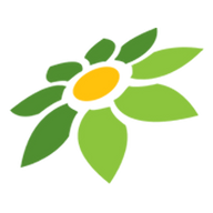 INDOFOLL